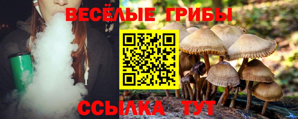 Верхняя Салда  Псилоцибиновые грибы MAGIC MUSHROOMS  Псилоцибиновые грибы Cubensis  Вход с VPN 